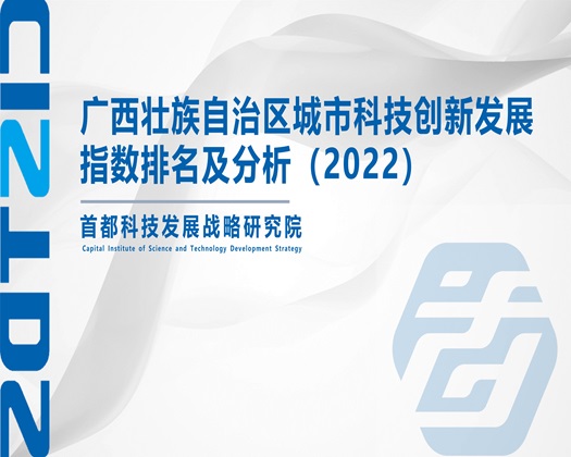 www.骚逼.con【成果发布】广西壮族自治区城市科技创新发展指数排名及分析（2022）